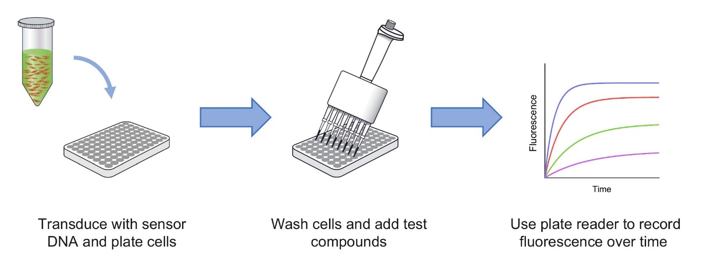 Diagram

Description automatically generated