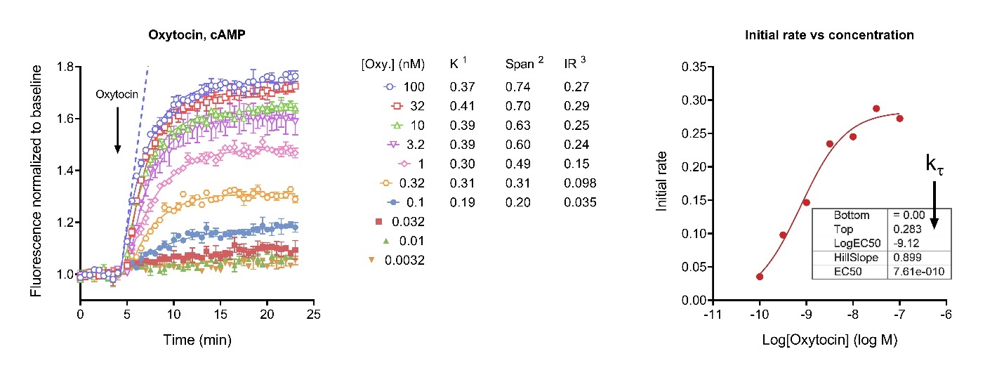 A picture containing table

Description automatically generated